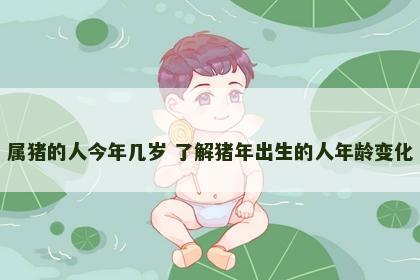 属猪的人今年几岁 了解猪年出生的人年龄变化