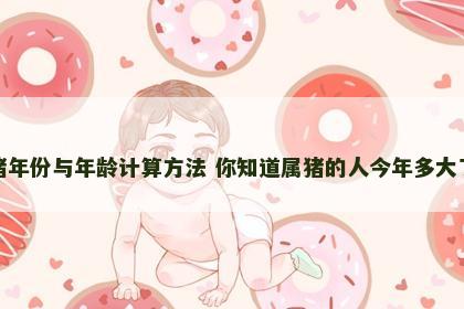 属猪年份与年龄计算方法 你知道属猪的人今年多大了吗