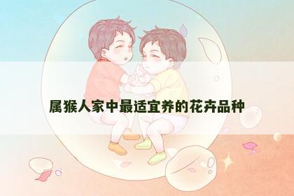 属猴人家中最适宜养的花卉品种