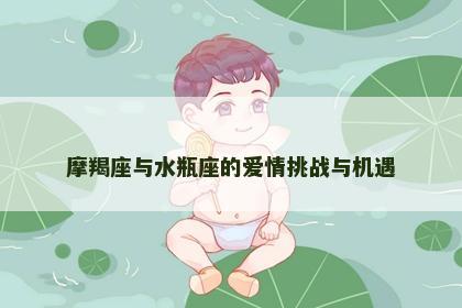 摩羯座与水瓶座的爱情挑战与机遇