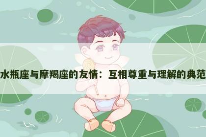 水瓶座与摩羯座的友情：互相尊重与理解的典范