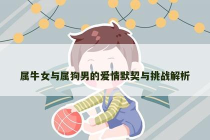 属牛女与属狗男的爱情默契与挑战解析