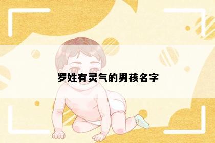 罗姓有灵气的男孩名字