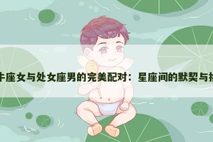 金牛座女与处女座男的完美配对：星座间的默契与挑战
