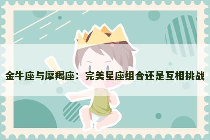 金牛座与摩羯座：完美星座组合还是互相挑战