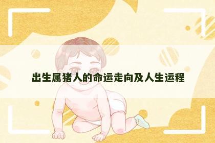 出生属猪人的命运走向及人生运程