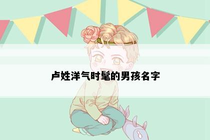 卢姓洋气时髦的男孩名字