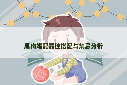 属狗婚配最佳搭配与禁忌分析