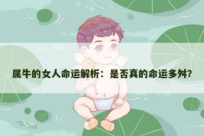属牛的女人命运解析：是否真的命运多舛？