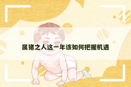 属猪之人这一年该如何把握机遇