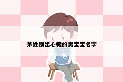 茅姓别出心裁的男宝宝名字