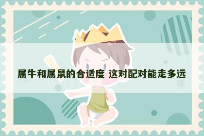 属牛和属鼠的合适度 这对配对能走多远