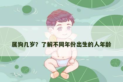 属狗几岁？了解不同年份出生的人年龄