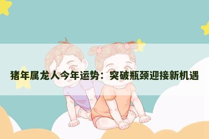 猪年属龙人今年运势：突破瓶颈迎接新机遇