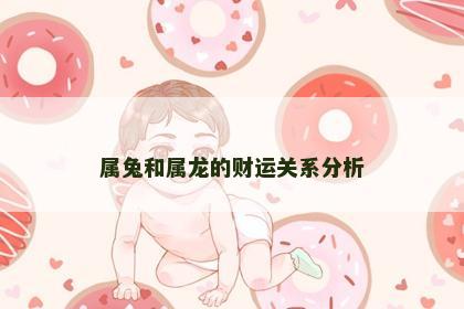 属兔和属龙的财运关系分析
