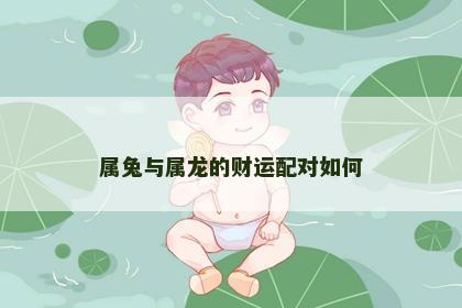 属兔与属龙的财运配对如何