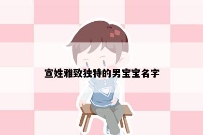 宣姓雅致独特的男宝宝名字