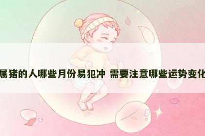 属猪的人哪些月份易犯冲 需要注意哪些运势变化