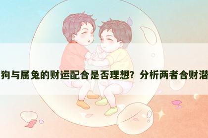 属狗与属兔的财运配合是否理想？分析两者合财潜力
