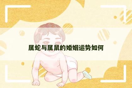 属蛇与属鼠的婚姻运势如何