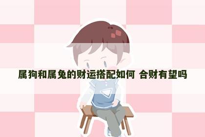 属狗和属兔的财运搭配如何 合财有望吗