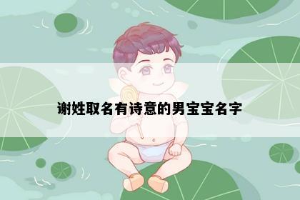 谢姓取名有诗意的男宝宝名字