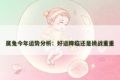 属兔今年运势分析：好运降临还是挑战重重