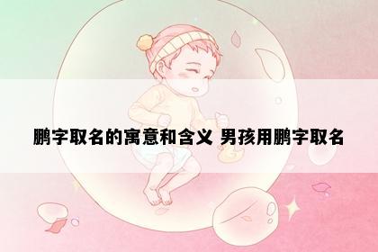 鹏字取名的寓意和含义 男孩用鹏字取名
