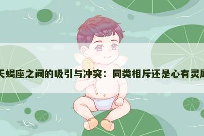 天蝎座之间的吸引与冲突：同类相斥还是心有灵犀