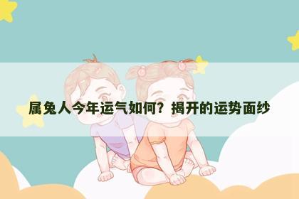 属兔人今年运气如何？揭开的运势面纱