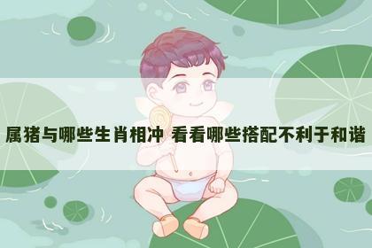 属猪与哪些生肖相冲 看看哪些搭配不利于和谐
