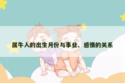 属牛人的出生月份与事业、感情的关系