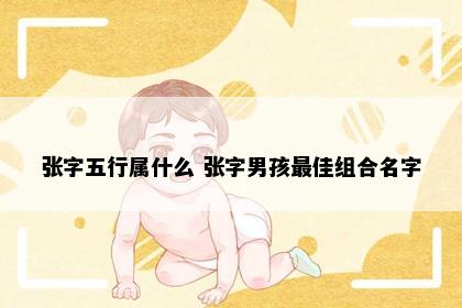 张字五行属什么 张字男孩最佳组合名字