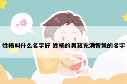 姓杨叫什么名字好 姓杨的男孩充满智慧的名字