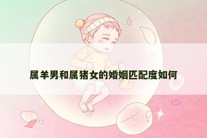 属羊男和属猪女的婚姻匹配度如何