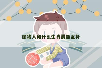 属猪人和什么生肖最能互补