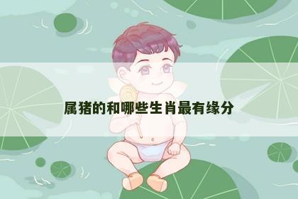 属猪的和哪些生肖最有缘分