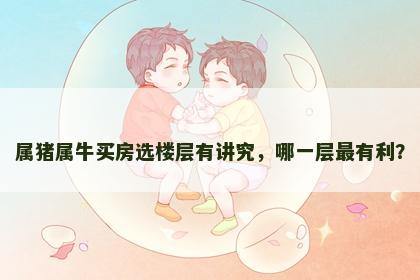 属猪属牛买房选楼层有讲究，哪一层最有利？