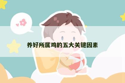 养好所属鸡的五大关键因素