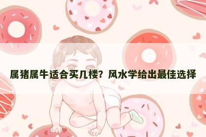 属猪属牛适合买几楼？风水学给出最佳选择
