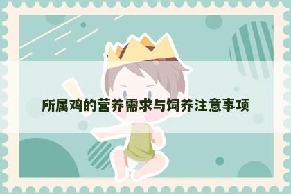 所属鸡的营养需求与饲养注意事项