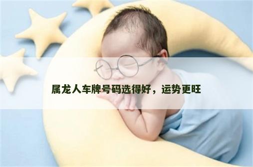 属龙人车牌号码选得好，运势更旺