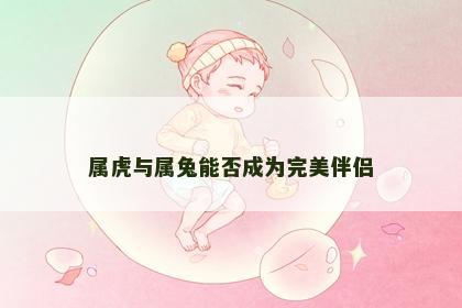 属虎与属兔能否成为完美伴侣