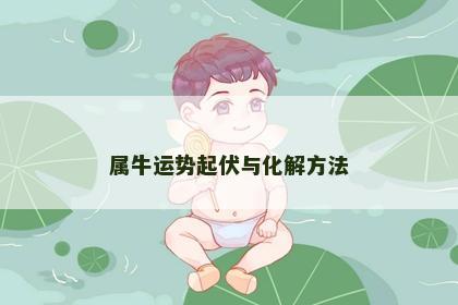 属牛运势起伏与化解方法