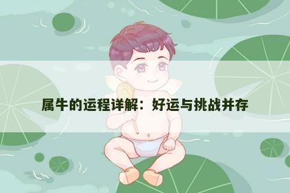 属牛的运程详解：好运与挑战并存