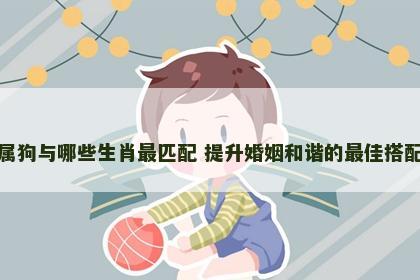 属狗与哪些生肖最匹配 提升婚姻和谐的最佳搭配