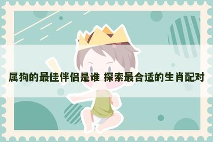 属狗的最佳伴侣是谁 探索最合适的生肖配对