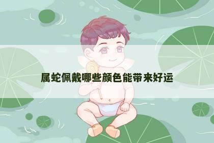 属蛇佩戴哪些颜色能带来好运