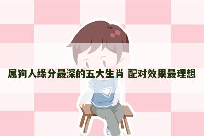 属狗人缘分最深的五大生肖 配对效果最理想
