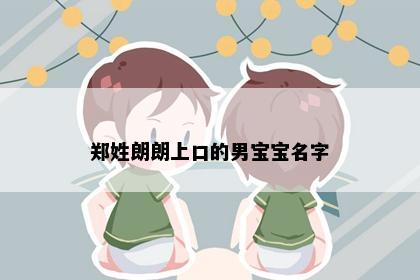 郑姓朗朗上口的男宝宝名字